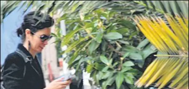 Yüzünü pisi güldürdü