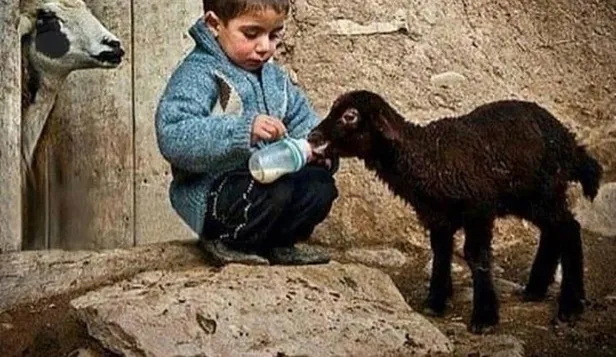 prof-dr-nihat-hatipoglu-kaleme-aldi-merhamet-etmeyene-merhamet-olunmaz-1649451837471.jpeg Prof. Dr. Nihat Hatipoğlu kaleme aldı: ‘Merhamet etmeyene merhamet olunmaz’-2