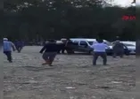 Samsun'da kaçan boğa çılgına döndü