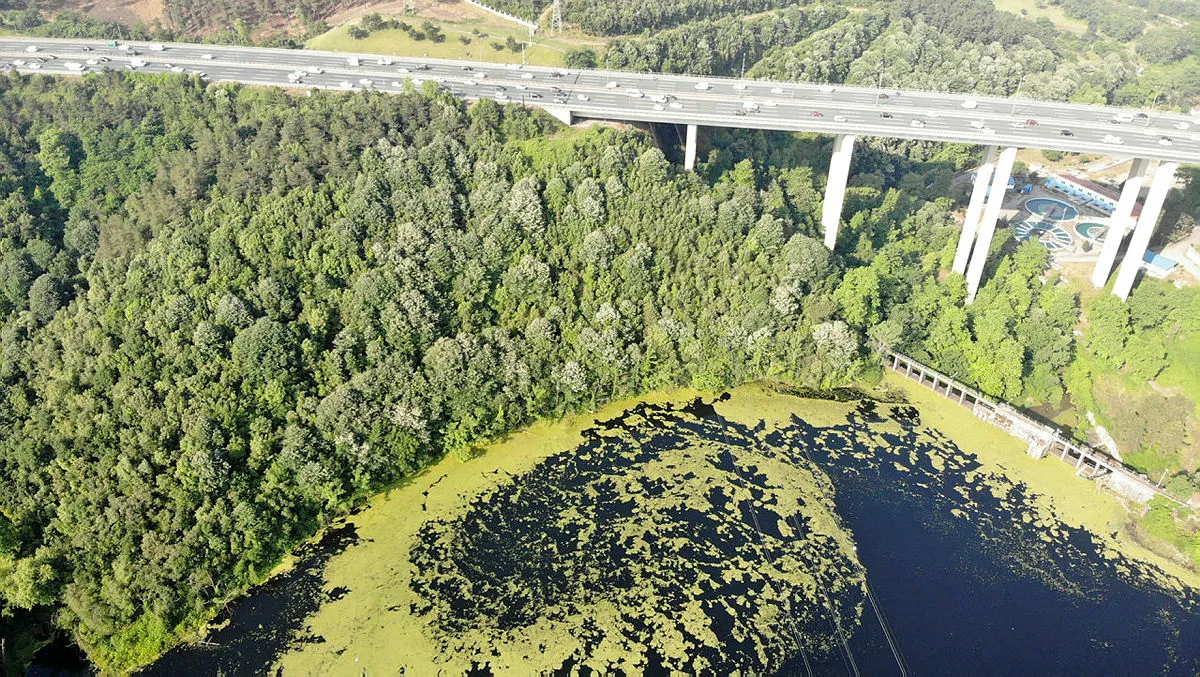 İstanbul'da ürküten manzara! Elmalı baraj suyu yeşile döndü - 2