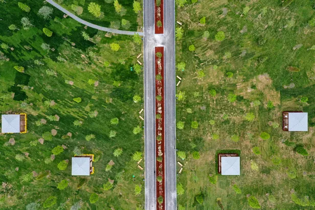 Başkan Erdoğan hizmete aldı: Atatürk Havalimanı Millet Bahçesi'nin ilk etabı açıldı! 10 bin 81 ağaç 41 bin bitki dikildi-4