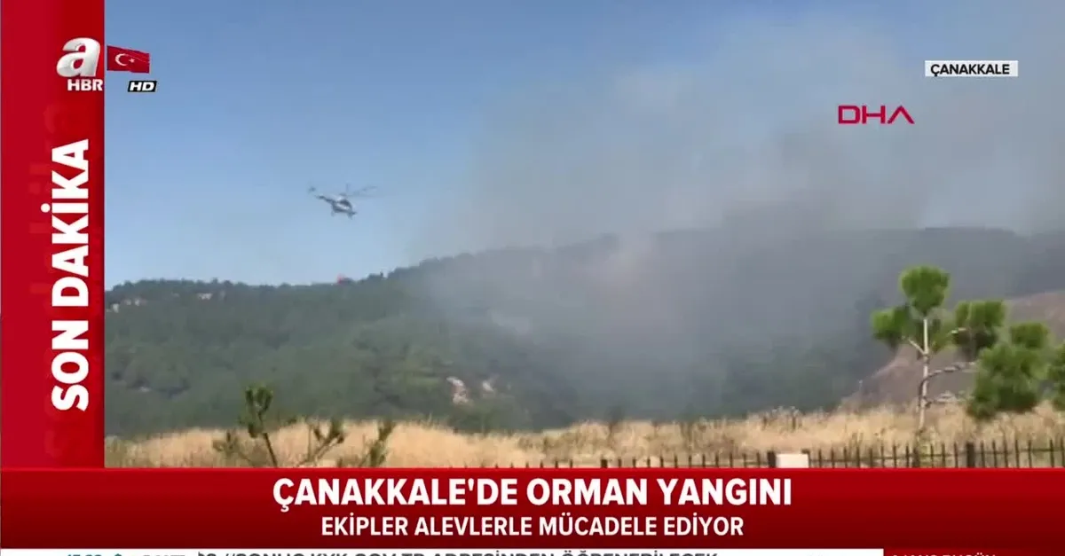 Çanakkale'de orman yangını (Video)