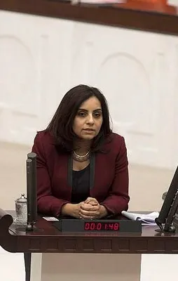 CHP'li Selina Doğan'dan skandal paylaşım