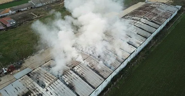 Çatalca’da fabrika yangını
