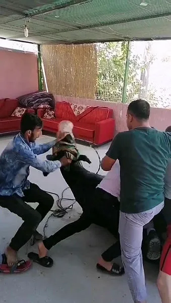 antalyada-firari-danalar-trafige-karisirken-bir-tanesi-acemi-kasabi-betona-firlatti-1596209782092.jpg Antalya’da firari danalar trafiğe karışırken bir tanesi acemi kasabı betona fırlattı-4