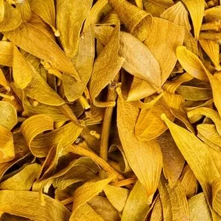 Kansere şifa olan bitki - 2