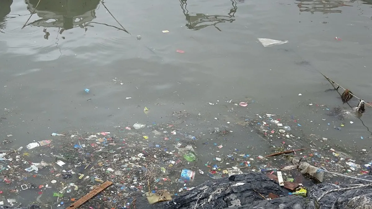 Pendik sahilinde çevre felaketi: Deniz kirli koku yoğun
