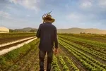3 milyon hektar alan ÇKS’ye kaydedilecek! Çiftçi desteklerden faydalanabilecek