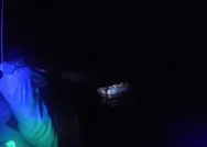 Türkler, Yunanistanın ittiği 35 düzensiz göçmeni İzmir açıklarında kurtardı