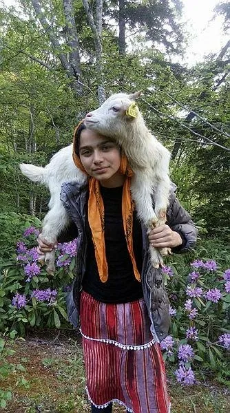 Hamdu Sena, Cumhurbaşkanı Erdoğan'dan keçileri için yol istedi!-3