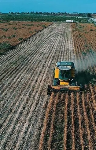 Tarım Kredi'den çiftçiye büyük destek! Yol haritası belli oldu: Ucuz gıda için cep marketler geliyor