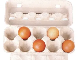 Bu resimde ilk ne görüyorsun? (Kişilik testi)
