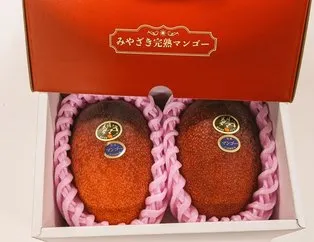 Japonya’da iki mango 58 bin 300 liraya satıldı