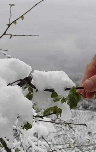 HAVA DURUMU | Meteoroloji saat vererek uyardı: Zirai don tehlikesine dikkat! | 13 Mart İstanbul'da hava nasıl olacak?