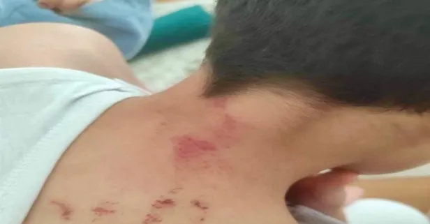 Okulda dehşet! Şanlıurfa'da öğrencisini darbeden öğretmen tutuklandı