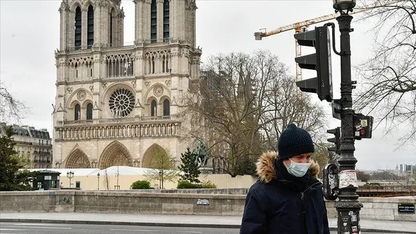 Fransa'yı "kuş gribi" korkusu sardı! Ulusal çapta önlem alınsın çağrısı-4