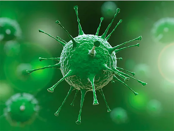 Bilim insanları ilk kez açıkladı! Koronavirüs gıdalardan bulaşır mı?-3