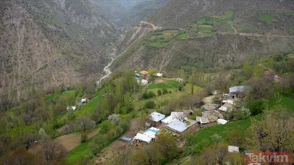 Muhtar da o vatandaş da o! İşte Türkiye'nin tek kişilik köyleri - 6