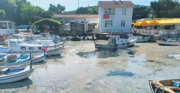 Müsilaj, Marmara Denizi’ni sardı! Bozcaada’ya kadar yayıldı: Balık avlanması yüzde 90 oranında azaldı