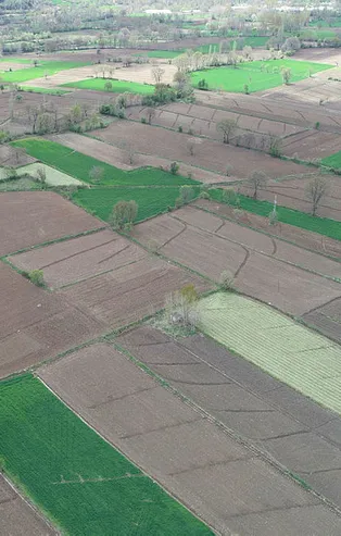 Başkan Erdoğan talimat vermişti! Bir yılda 6 kat arttı