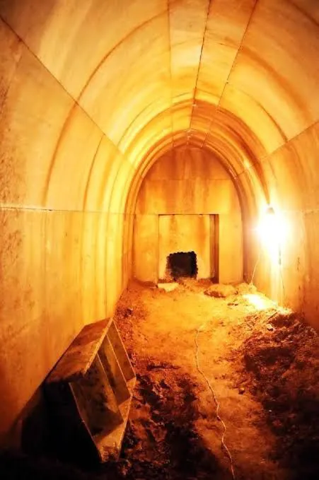 Muğla'da kaçak kazıda bulunmuştu! Dünyanın ilgi odağı oldu-8