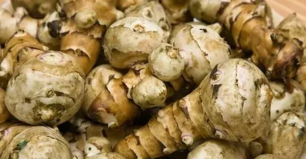 Yer elmasının faydaları nelerdir? Nelere iyi gelir?