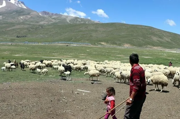 4 bin lira maaşı var ama eleman bulunmuyor...