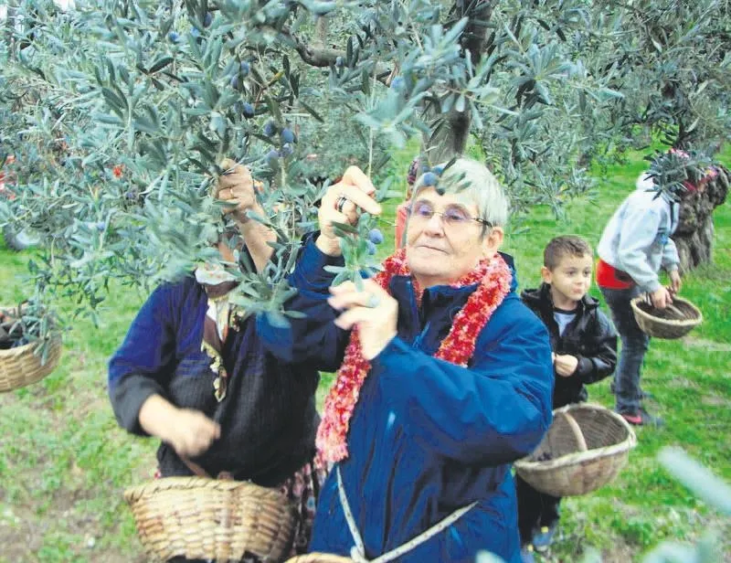 Zeytinyağı altındır