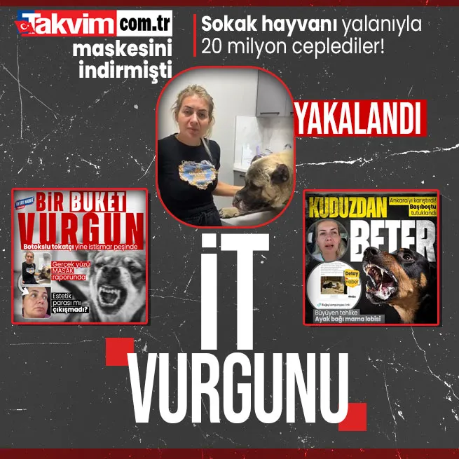 Yine Köpek velisi Buket Özgünlü: Sokak hayvanları üzerinden 20 milyonluk vurgun!
