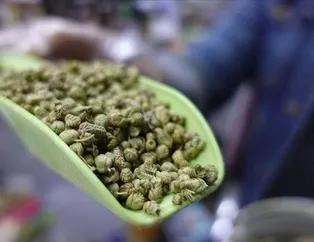 Kazanç için kekik ekin