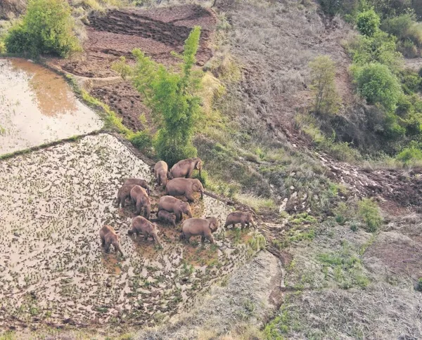 CNN sunucusu Christiane Amanpour, yumurtalık kanserine yakalandı (Dünya haberleri)-7