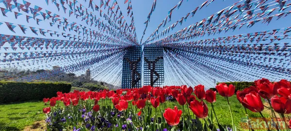 Trabzon artık şampiyonluğu bekliyor! Boş uçak kalmadı oteller yüzde 100 dolu - 1