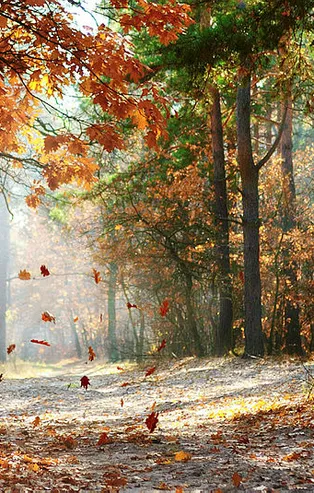 Rüyada ünlü olduğunu görmek ne anlama gelir?