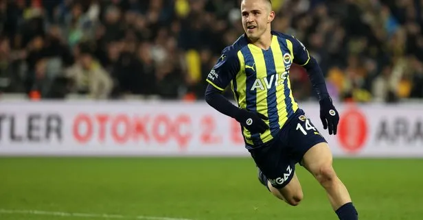 Fenerbahçe’de ayrılık: Pelkas’a Hull City’e imza attı