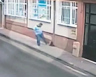 Cani adam kediyi öldürdü