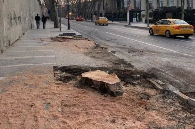8 ağaç bahanesiyle çıkan Gezi olaylarına destek veren İmamoğlu, İBB'nin katlettiği 112 çınarla ilgili tek kelime söyleyemedi