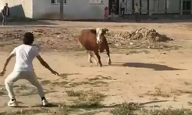 ortalik-karisti-kacan-kurbanliklar-vatandaslara-zor-anlar-yasatti-1687935926284.jpeg Ortalık karıştı: Kaçan kurbanlıklar vatandaşlara zor anlar yaşattı-5