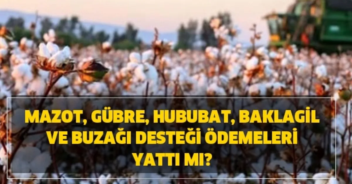 2020 Mazot Gubre Destegi Ne Zaman Odenecek Mazot Gubre Hububat Baklagil Ve Buzagi Destegi Odemeleri Yatti Mi Takvim