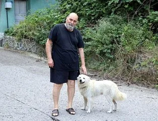 Güzel ’hav’adis