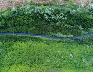 İstanbul'da tepki çeken görüntü: Kağıthane Deresi kararıyor