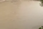 Meteoroloji sarı kodla uyarmıştı! CHP'li Lal Denizli'nin yönetimindeki Çeşme sular altında kaldı