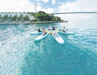 Sosyetik kürekçiler