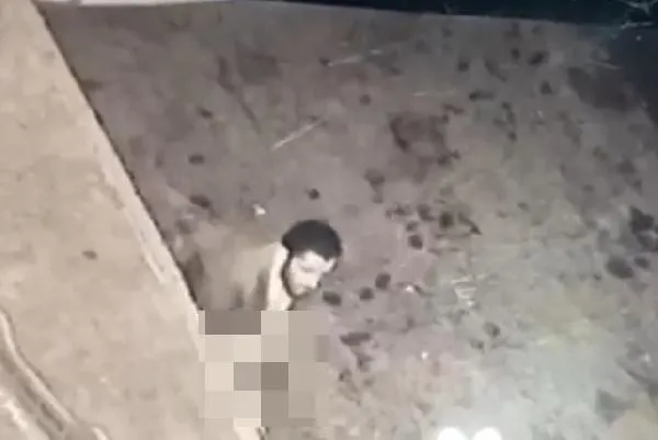 SON DAKİKA: Sakarya'da iğrenç olay: Köpeğe taciz güvenlik kamerasında-5