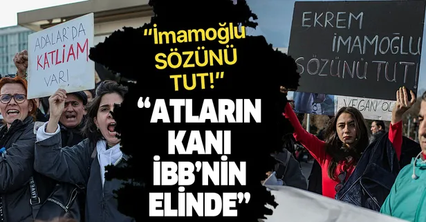 İBB önünde protesto: "Atların kanları İBB'nin elinde!"