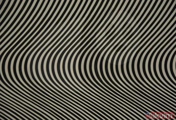 EN ZEKİLER BİLE BU TESTİ ZOR ÇÖZÜYOR! 100 kişide sadece 1 kişi doğru cevabı buldu! İŞTE O SORU! - 3