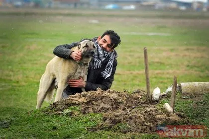 27 yıldır birlikte olduğu köpeği Cınavır hayatını kaybetti! Bir yıldır her gün mezarının başına gidiyor