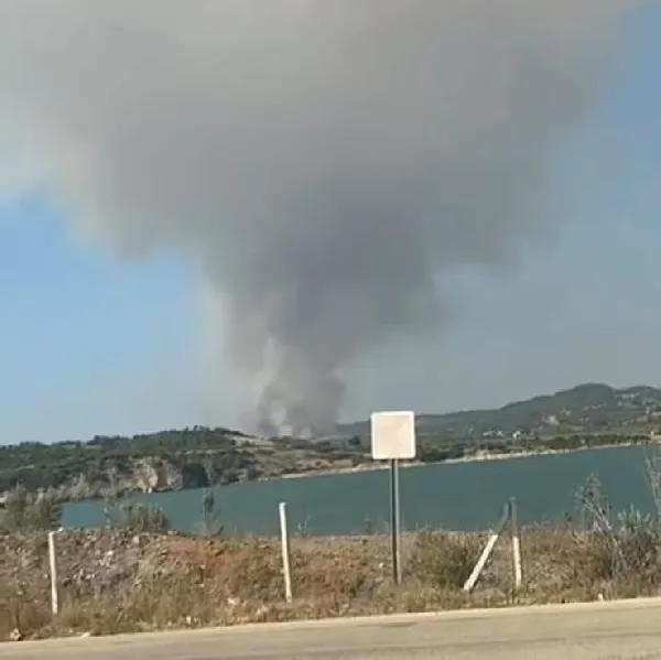 Adana Sarıçam’da orman yangını!