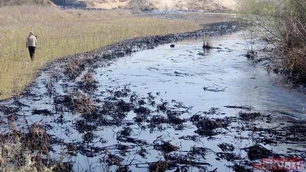 Edirne'de çevre katliamı! Tonlarca fuel oil 30 dekar alana ve dere yatağına yayıldı - 7
