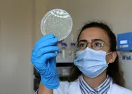 Türkiyeden koronavirüs çalışmalarında çığır açacak buluş! Tüm mutasyonlara karşı etkili!