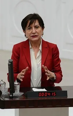 CHP'li Binnaz Toprak alay konusu oldu